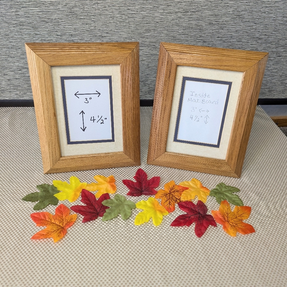 2 ea Solid wood Picture Frames with dble. mat boards & glass Unbranded